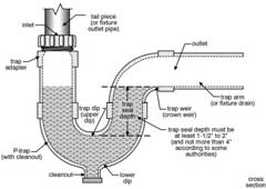 drain trap