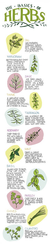 herbs