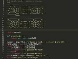 Python