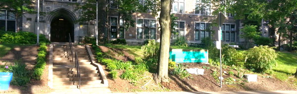School entrance landscaping