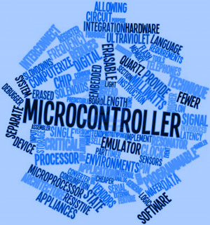 Microcontroller words